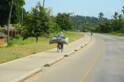 DSC_8731 (Large).JPG